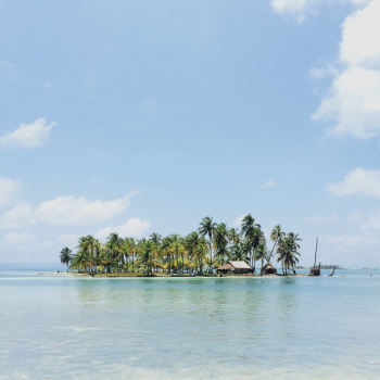 Free Photo of palm trees, island, tropical Free Photo of palm trees, island, tropical