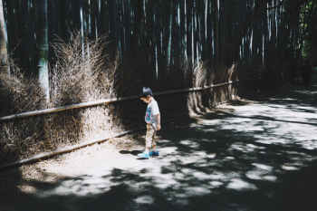 Free Photo of people, kid, boy Free Photo of people, kid, boy