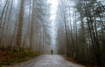 Free Photo of people, man, alone Free Photo of people, man, alone