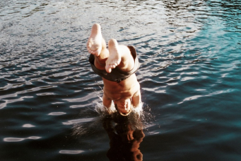 Free Photo of people, man, dive Free Photo of people, man, dive
