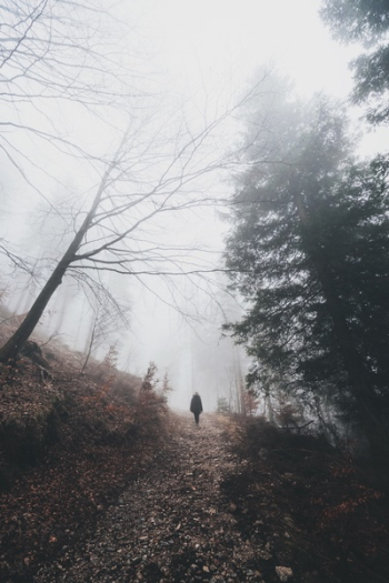 Free Photo of people, travel, adventure Free Photo of people, travel, adventure