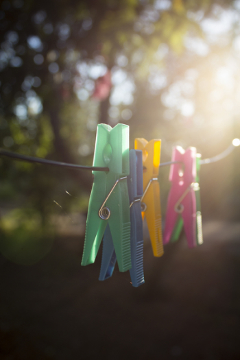Free Photo of pin, clothespin, clip