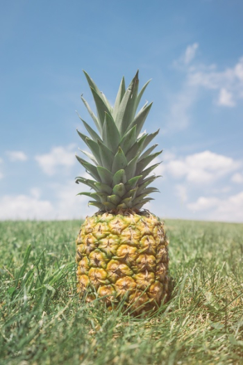 Free Photo of pineapple, dessert, appetizer Free Photo of pineapple, dessert, appetizer