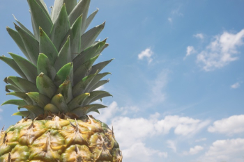 Free Photo of pineapple, dessert, appetizer Free Photo of pineapple, dessert, appetizer