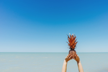Free Photo of pineapple, dessert, appetizer Free Photo of pineapple, dessert, appetizer
