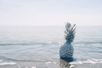 Free Photo of pineapple, dessert, appetizer Free Photo of pineapple, dessert, appetizer