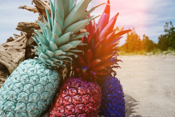 Free Photo of pineapple, dessert, appetizer Free Photo of pineapple, dessert, appetizer