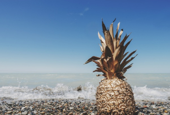 Free Photo of pineapple, dessert, appetizer Free Photo of pineapple, dessert, appetizer