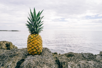 Free Photo of pineapple, dessert, appetizer Free Photo of pineapple, dessert, appetizer