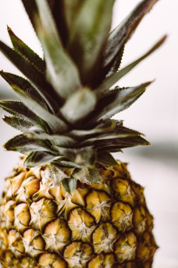 Free Photo of pineapple, dessert, appetizer Free Photo of pineapple, dessert, appetizer