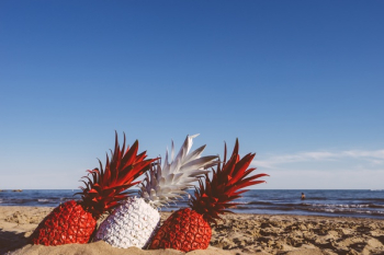 Free Photo of pineapple, dessert, appetizer Free Photo of pineapple, dessert, appetizer