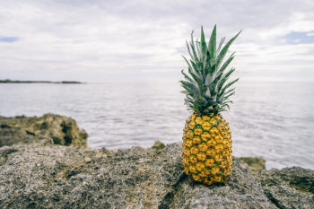Free Photo of pineapple, dessert, appetizer Free Photo of pineapple, dessert, appetizer