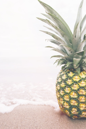 Free Photo of pineapple, dessert, appetizer Free Photo of pineapple, dessert, appetizer