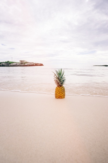 Free Photo of pineapple, dessert, appetizer Free Photo of pineapple, dessert, appetizer