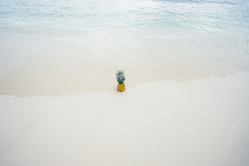 Free Photo of pineapple, dessert, appetizer Free Photo of pineapple, dessert, appetizer