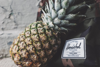 Free Photo of pineapple, dessert, appetizer Free Photo of pineapple, dessert, appetizer