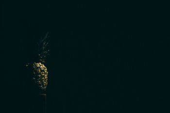 Free Photo of pineapple, dessert, appetizer Free Photo of pineapple, dessert, appetizer