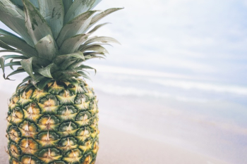 Free Photo of pineapple, dessert, appetizer Free Photo of pineapple, dessert, appetizer