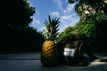 Free Photo of pineapple, dessert, appetizer Free Photo of pineapple, dessert, appetizer