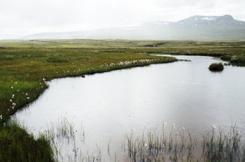 Free Photo of pond, water, nature Free Photo of pond, water, nature