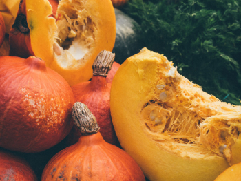 Free Photo of pumpkins, halloween, nature Free Photo of pumpkins, halloween, nature
