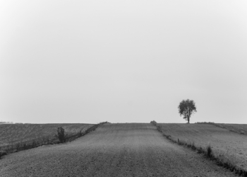 Free Photo of rural, countryside, road Free Photo of rural, countryside, road