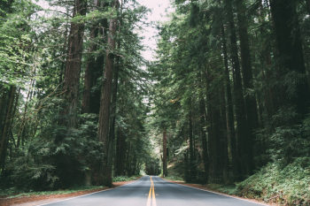 Free Photo of rural, road, countryside Free Photo of rural, road, countryside