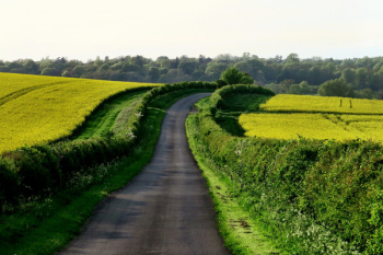 Free Photo of rural, road, countryside Free Photo of rural, road, countryside