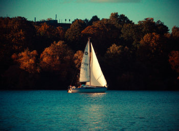 Free Photo of sail, boat, nature Free Photo of sail, boat, nature