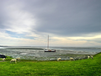 Free Photo of sailboat, water, ocean Free Photo of sailboat, water, ocean