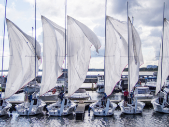 Free Photo of sailboats, boating, marina Free Photo of sailboats, boating, marina