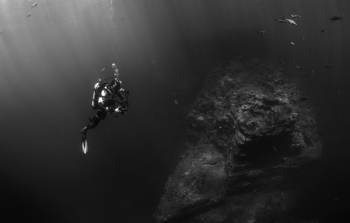 Free Photo of scuba diving, dive, bubbles Free Photo of scuba diving, dive, bubbles