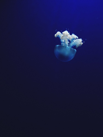 Free Photo of sea, ocean, water Free Photo of sea, ocean, water