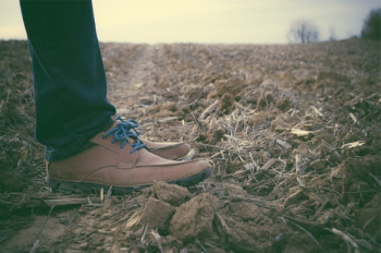 Free Photo of shoes, laces, jeans Free Photo of shoes, laces, jeans