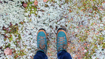 Free Photo of shoes, sneakers, fashion Free Photo of shoes, sneakers, fashion
