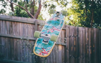 Free Photo of skateboard, backyard, fence Free Photo of skateboard, backyard, fence