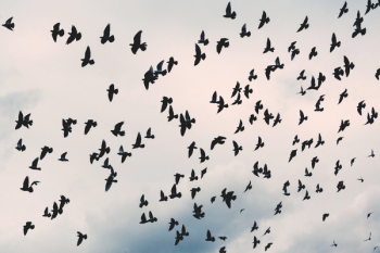 Free Photo of sky, clouds, nature Free Photo of sky, clouds, nature