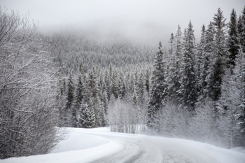 Free Photo of snow, white, winter Free Photo of snow, white, winter