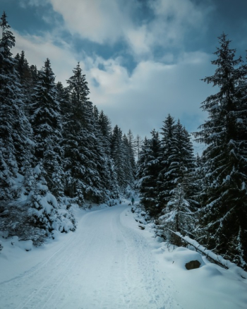 Free Photo of snow, winter, white Free Photo of snow, winter, white