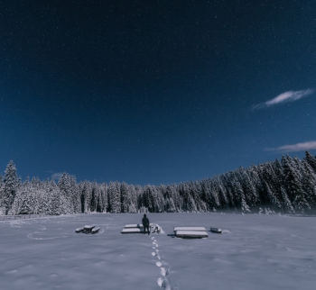 Free Photo of snow, winter, white Free Photo of snow, winter, white