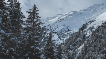 Free Photo of snow, winter, white Free Photo of snow, winter, white
