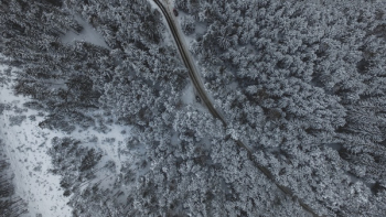 Free Photo of snow, winter, white Free Photo of snow, winter, white