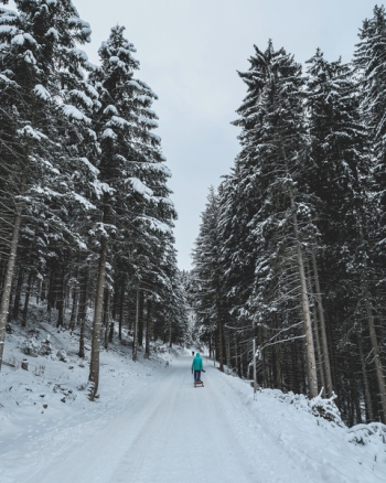 Free Photo of snow, winter, white Free Photo of snow, winter, white