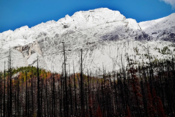 Free Photo of snow, winter, white Free Photo of snow, winter, white