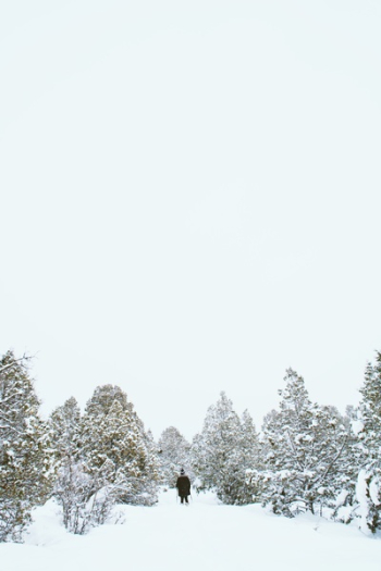 Free Photo of snow, winter, white Free Photo of snow, winter, white