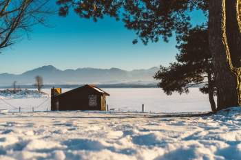Free Photo of snow, winter, white Free Photo of snow, winter, white