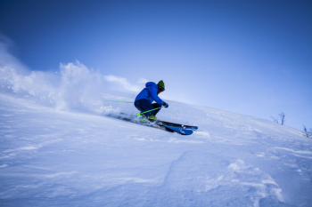 Free Photo of snow, winter, white Free Photo of snow, winter, white