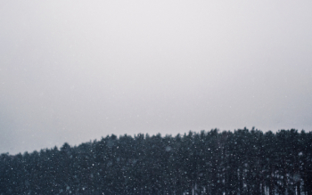 Free Photo of snowing, blizzard, winter Free Photo of snowing, blizzard, winter