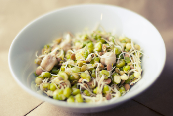 Free Photo of soybeans, sprouts, food Free Photo of soybeans, sprouts, food