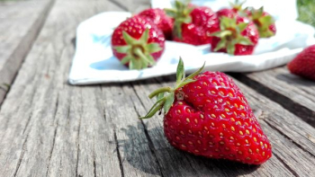 Free Photo of strawberry, food, crops Free Photo of strawberry, food, crops